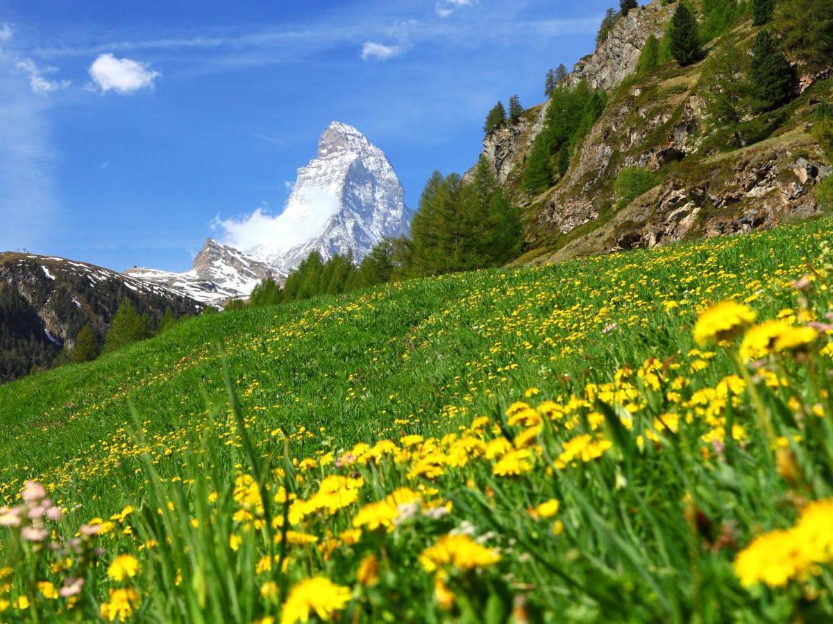 Apartment Gamma By Interhome Zermatt Buitenkant foto