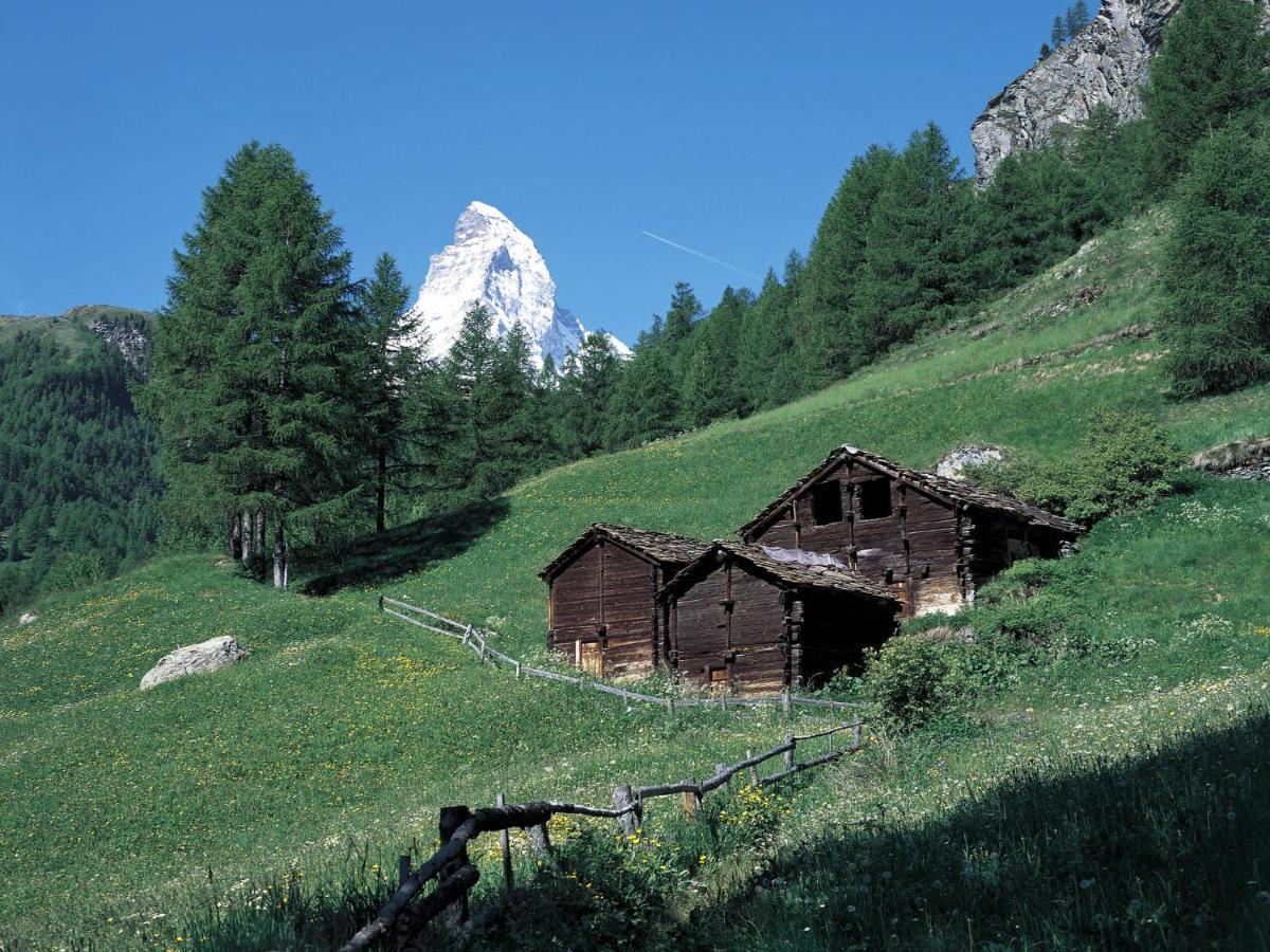 Apartment Gamma By Interhome Zermatt Buitenkant foto